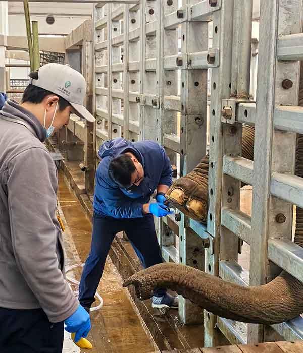 王家骏：逛动物园是件正经事