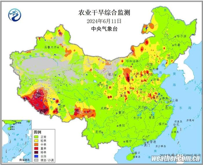 河南山东旱情初显 玉米期货价格率先开涨