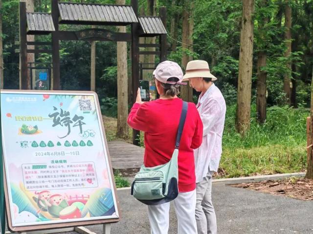 端午假期，崇明文旅市场亮点纷呈