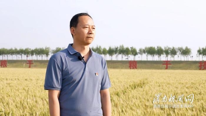 “丰收，就是我们心中最美的景色”——大荔县农业科技推广工作者速写