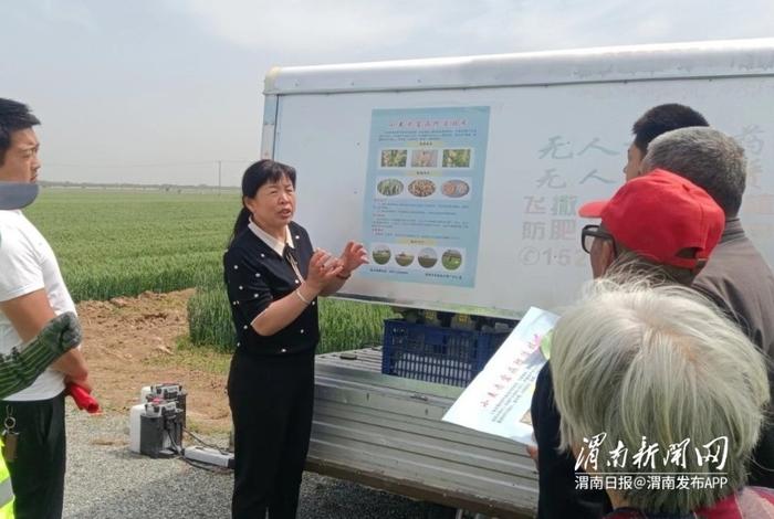“丰收，就是我们心中最美的景色”——大荔县农业科技推广工作者速写