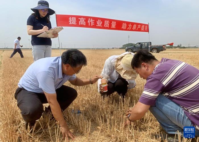 山东：机收小麦 减损增产