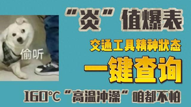 “炎”值爆表，一键查询交通工具精神状态