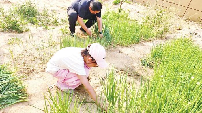 劳动砺心智 实践促成长 ——衡水市裕华路小学劳动实践社团纪实