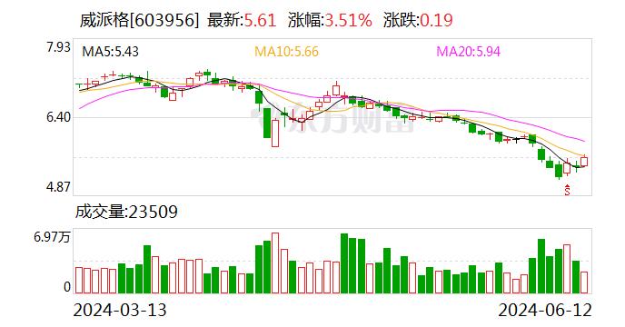 威派格：聘任陈平、余水勇为公司副总经理