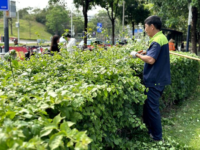 服务升级！深圳北站枢纽畅通市民出行“最后一公里”