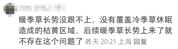 太火爆，上海网红阶梯草坪被躺“秃”了！最新回应：出现大面积坏死，正进行修补更换