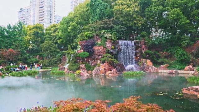上海市中心也有山湖秀美！满目绿意带来夏日清凉~