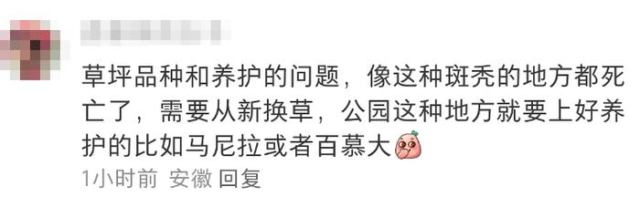 太火爆，上海网红阶梯草坪被躺“秃”了！最新回应：出现大面积坏死，正进行修补更换