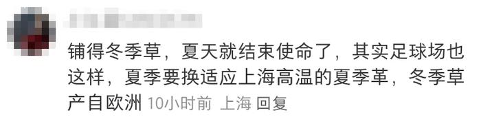 太火爆，上海网红阶梯草坪被躺“秃”了！最新回应：出现大面积坏死，正进行修补更换