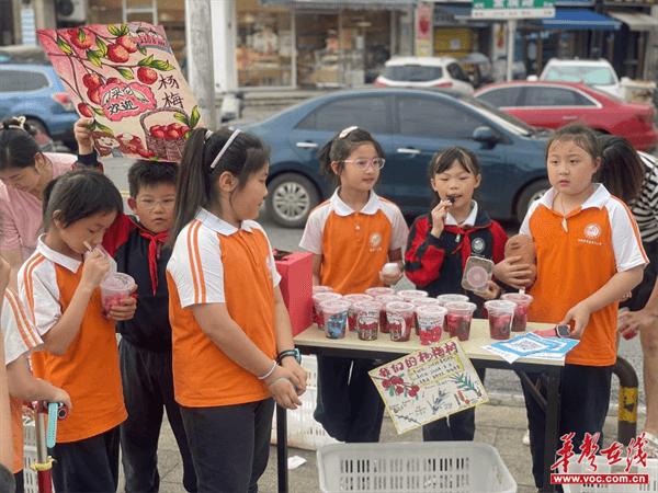 长郡月亮岛第三小学举行第五届“‘梅’好时光 感恩有您 ”杨梅节活动