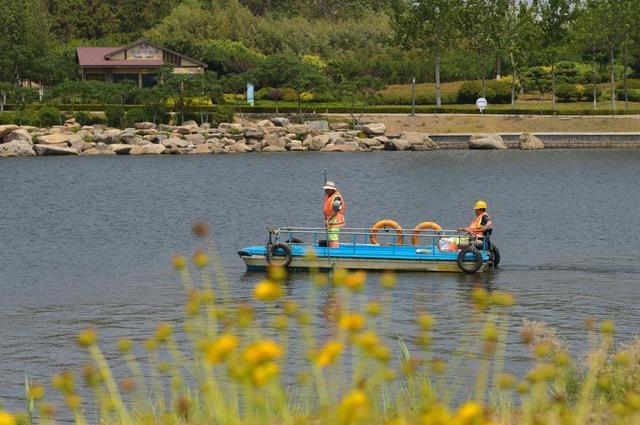 胶州：打造美丽河湖 共享生态红利
