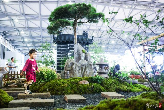 上海园林景观展：“一站式”感受花园式生活