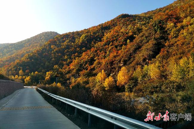 山河锦绣 甘肃岁月正芳华