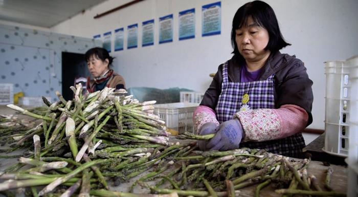 特色种植开出富民“千金方”