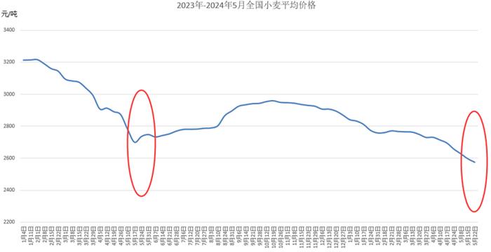 麦价阶段性底部或形成 反弹空间有多大