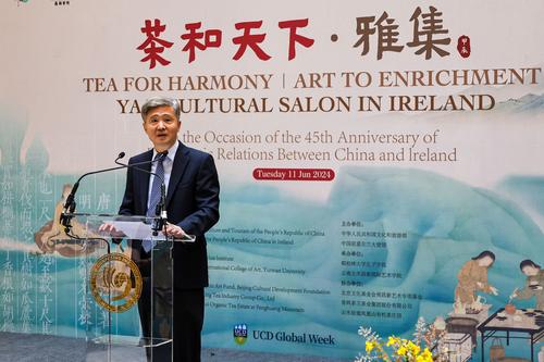 驻爱尔兰大使何向东出席“茶和天下·雅集”活动