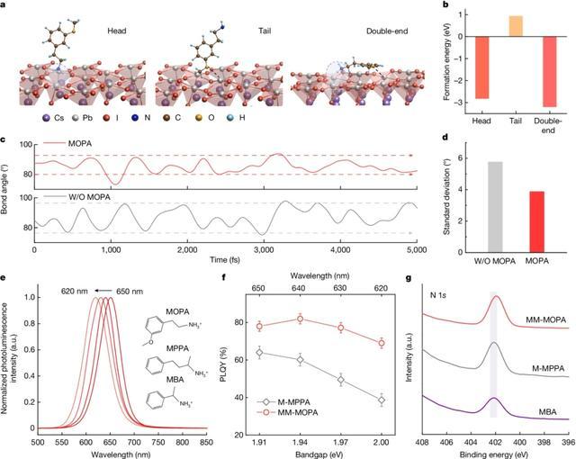 最新！上海大学Nature+1！