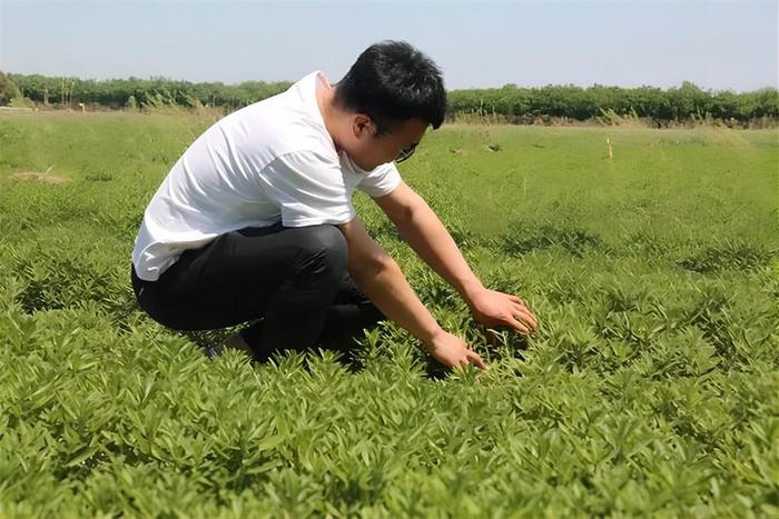 深读周刊·调查｜让人才和城市“双向奔赴”