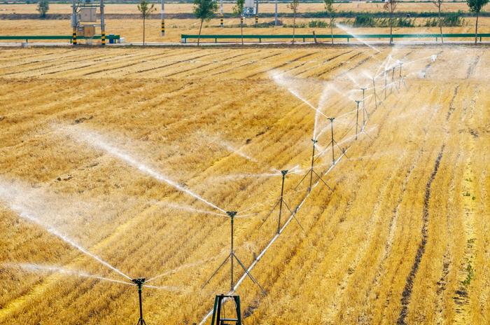 多部门采取措施应对旱情 农业专家建议：开展人工增雨作业以保障农作物正常生长