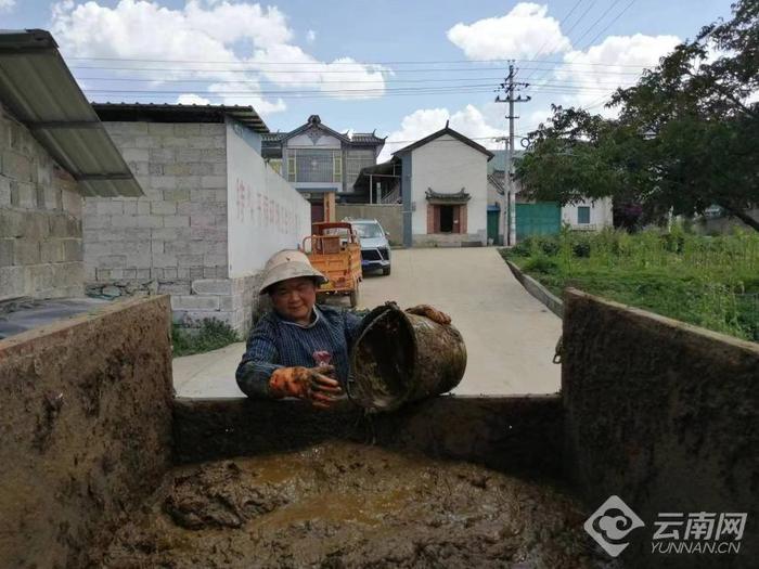 【云视角】洱海畔 有群守护这捧碧波的人