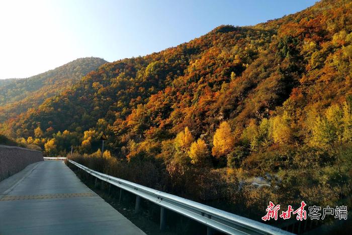 山河锦绣 甘肃正芳华