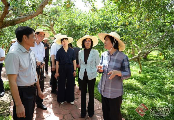 沈跃跃率全国政协调研组在滇开展新型城镇化专题调研 王宁与调研组交流 车俊潘立刚参加调研 刘晓凯出席调研座谈会