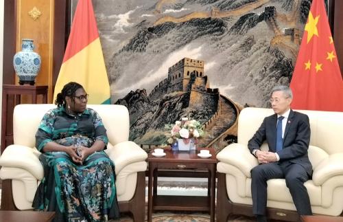 驻几内亚大使黄巍会见几国家电视台新任台长