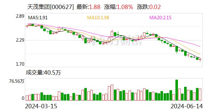 天茂集团：6月14日召开董事会会议