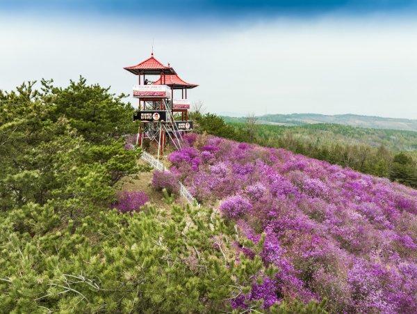 奔赴吉线秘境 驭见吉祥吉林｜自驾龙井市：这里有原生态的民族风情