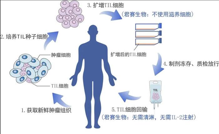 癌症TIL疗法进入临床试验，给晚期实体肿瘤患者带来希望 |追踪新质生产力