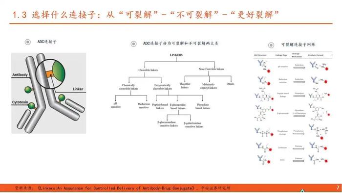 【平安证券】行业深度报告*医药*ADC药物全景图系列（一）—新技术平台崭露头角，乳腺癌治疗迎来突破