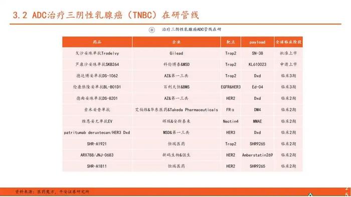 【平安证券】行业深度报告*医药*ADC药物全景图系列（一）—新技术平台崭露头角，乳腺癌治疗迎来突破