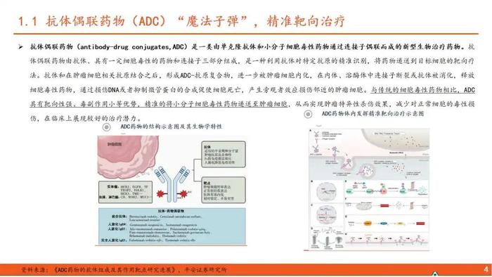 【平安证券】行业深度报告*医药*ADC药物全景图系列（一）—新技术平台崭露头角，乳腺癌治疗迎来突破