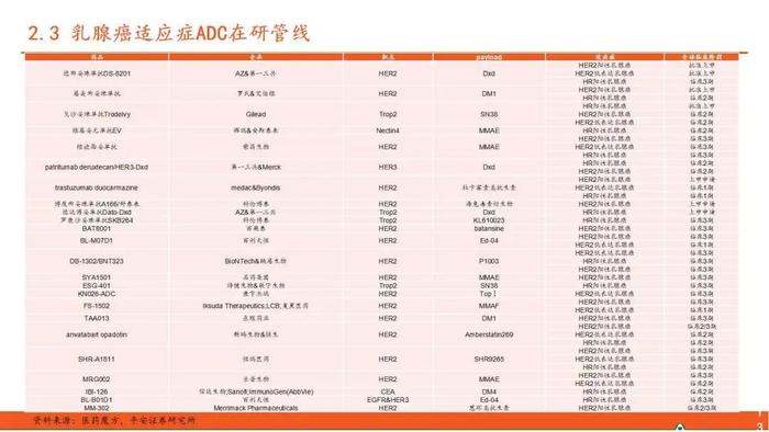 【平安证券】行业深度报告*医药*ADC药物全景图系列（一）—新技术平台崭露头角，乳腺癌治疗迎来突破