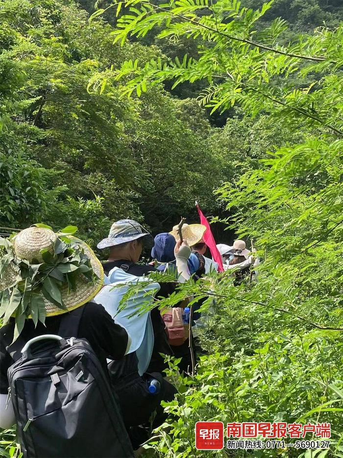 别被晒nong了！夏天在广西徒步，遇这些情况请立即休息→