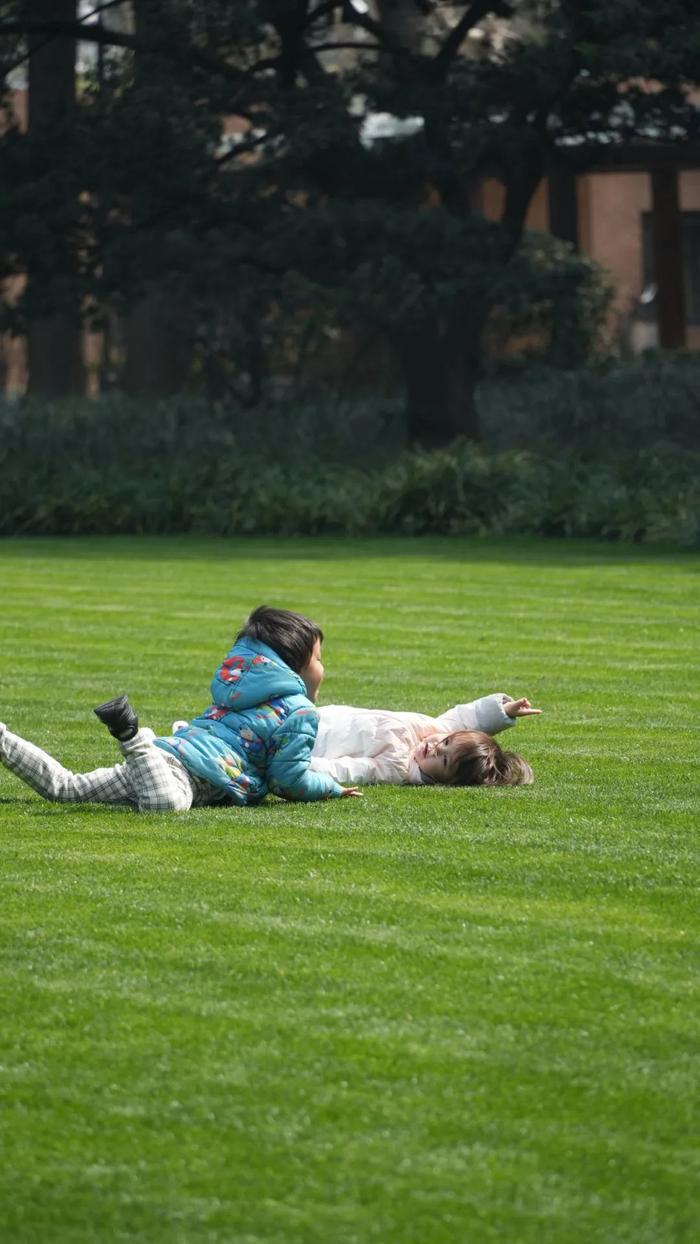 在上海的草坪上，如何正确地玩一天