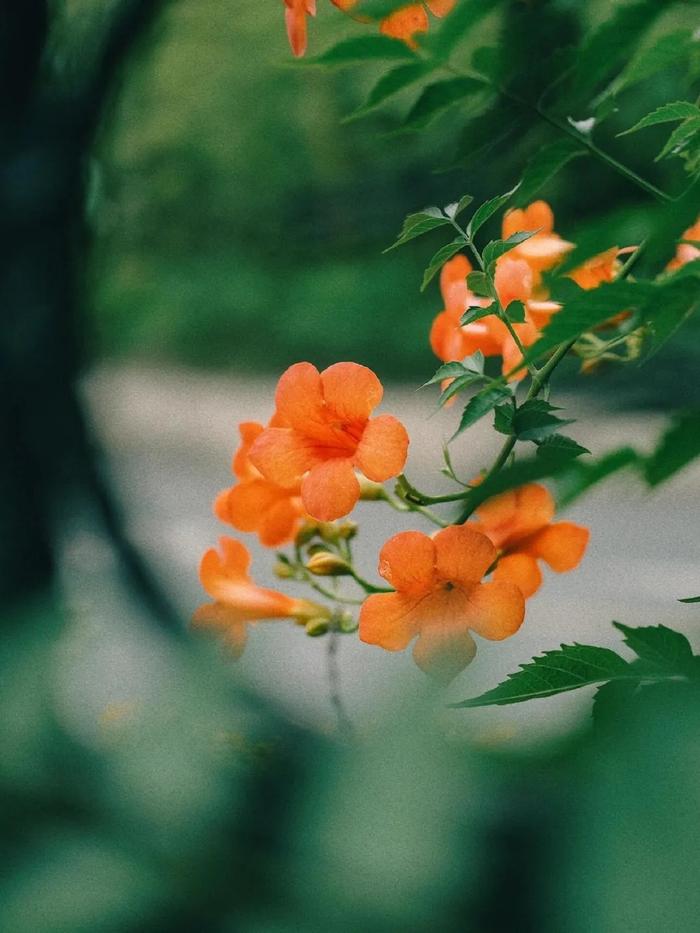 江苏徐州：这么好看，不愧是徐州的夏天！