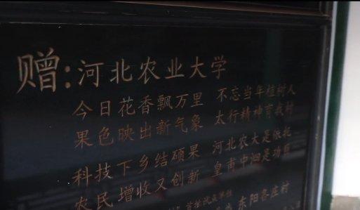 图为太行山道路碑廊中的一块“功德碑”。