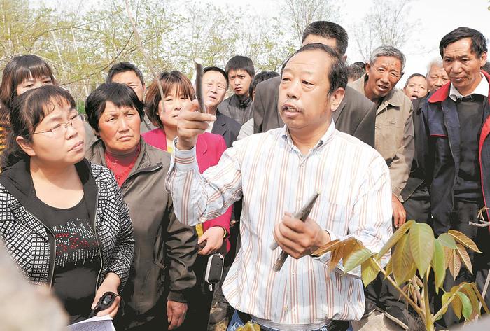 2012年4月13日,李保国教授在临城县为农民讲解薄皮核桃高接换优技术要领。河北日报记者赵永辉摄