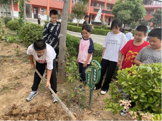 西峡县回车镇王营小学：劳动教育提素质   五育并举促成长