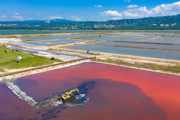 镜观·回响丨从千年盐湖看中部地区绿色“蝶变”