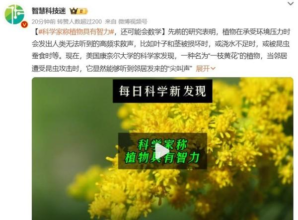 科学家称植物具有智力和记忆 还可能会用数学做决策