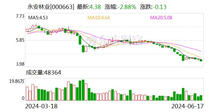 深交所向福建省永安林业(集团)股份有限公司及相关责任人发出监管函