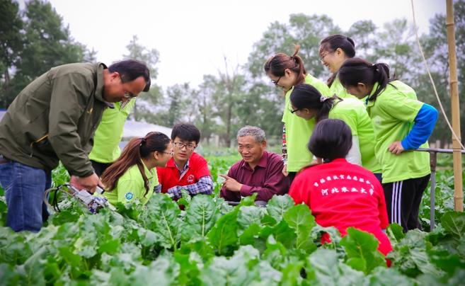 图片来源:河北农业大学公众号