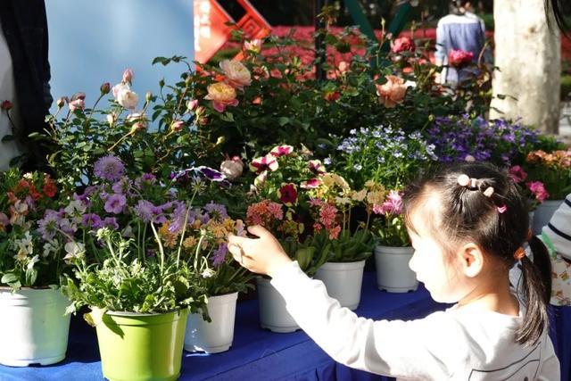 想学插花和园艺？徐汇区市民园艺中心把服务送到你身边