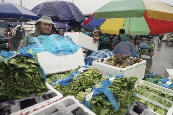 梅雨不停！温州蔬菜价会上涨吗？