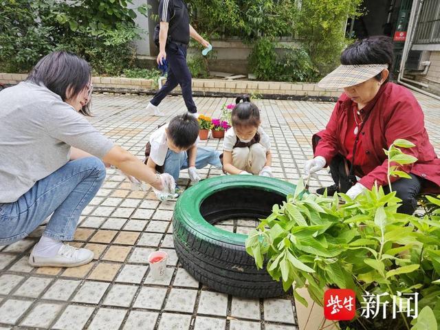 苏州工业园区娄葑街道：打造“共享花圃”，扮靓家门口的“小微空间”