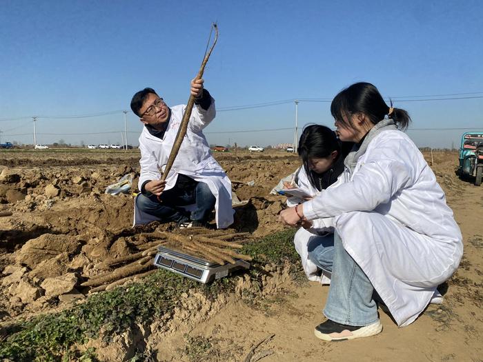 从“一颗星”到“满天星”，这群河北师生把论文写在祖国大地上