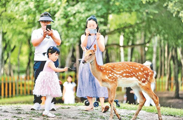 来太阳岛走走